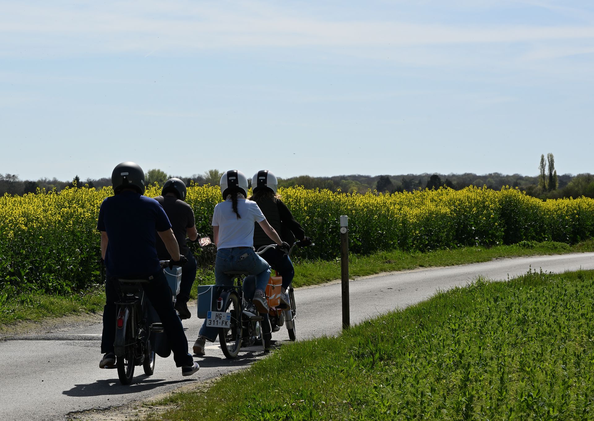 Photo découverte Roule Adèle : DSC 4092